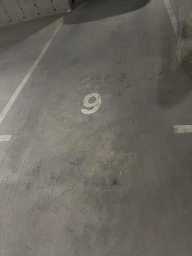 Ultra Lux Free Underground Parking Apartment Pasardschik
