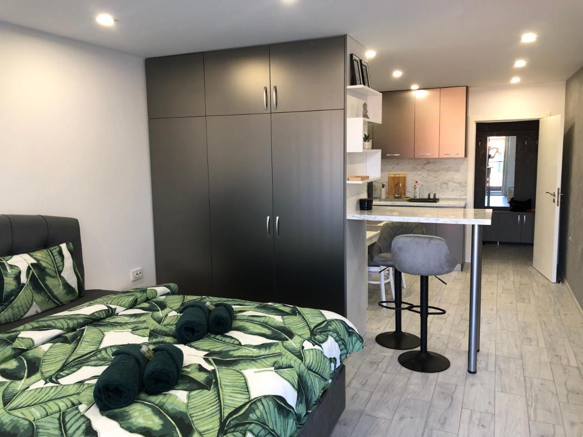 Apartment Ultra Lux Free Underground Parking Pasardschik